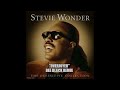 Stevie Wonder 