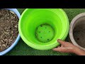 How To Make Potting Soil At Home
