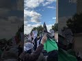 Thousands of pro-Palestinian demonstrators rally in Washington