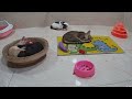 CLASSIC Dog and Cat Videos 😻🐤🙀 1 HOURS of FUNNY Clips 🐶 Cute baby animals