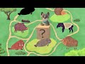 LITTLE KITTEN ADVENTURE MY FAVORITE CAT AND CAT CARE - SUPER FUN GAME FOR KIDS AND TODDLERS