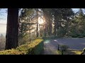 Mt. Hood View | Portland Japanese Garden