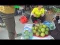 Harvesting Grapefruit Go To Sell At Village Market - Grow Sweet Potatoes - Family Farm - New Life