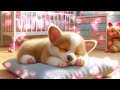 🐾Sunny puppy✨Soft music for sleep and relaxing
