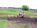 Garden Tractors 054