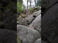 Watch when Daisy climbed the rocks at Becky falls