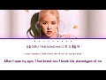 [OFFICIAL ROSÉ VER.] ROSÉ (로제) 'Final Love Song' (Lyrics)