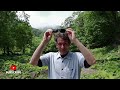 Photography in a Moss Corridor in Hokkaido, Japan