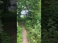 UK countryside walk