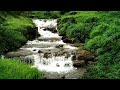 Peaceful music #Shorts #Nature Relaxing mind