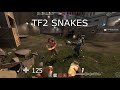 TF2 Snakes