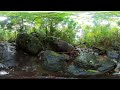 Tropical rainforest water sounds 360 video 4k