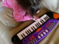 Keyboard playing girl!