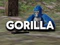 GORILLA TAG EMERGENCY