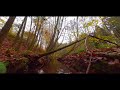 The Beauty of Autumn | FPV Flug durch den Herbst 🍁🍂