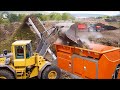 150 Unbelievable Fastest Biggest Wood Processing Machine