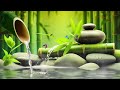 Healing Music for Anxiety Disorders , Reduce Stress, Calming Music, Meditation Music, Nature Sounds