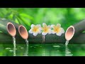 Soft Piano Music - Soft Melodies, Flowing Water Sounds, Soothing Music, Deep Sleep Music, Good Night