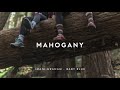 Best Acoustic Autumn  Folk Compilation  Mahogany 2021 Playlist