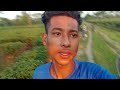 assam tea garden😍||assam baksa// Manjit vlogs
