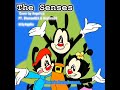 The Senses | Animaniacs cover by Angelica (FT. BlumanSLS and Heytino24)