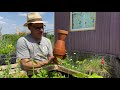 Ollas selber bauen und Wasser sparen: Gartenbewässerung mit Tontöpfen