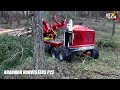 Extreme Dangerous Fastest Big Chainsaw Cutting Tree Machines | Biggest Heavy Equipment Machines #6