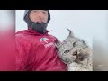Farmer lectures a lynx after it attacked his chicken coop in British Columbia