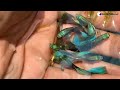 Top 10 Rare Guppy Fish You Haven't Seen 😳😲 | Beautiful Guppy Fish in the World