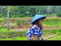 Heboh !! Suasana Warung Pinggir Sungai Yang Sering Disinggahi Banyak Orang, Pedesaan Jawa Barat