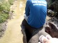 Amigo elefante na Tailândia