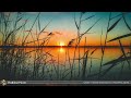 Peaceful Classical Piano | Chopin, Mozart, Debussy...