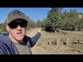 Henderson Flat Jasper & Petrified Wood // Rockhounding Central Oregon