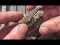 Metal Detecting for Silver Ore at old Mine