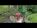 Sabden Fold Archers (3d) rove shoot.30th June 2024