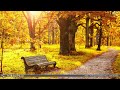 Classical Music for Relaxation | Bach, Mozart, Vivaldi...