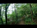 【4K】  Rain walk - Forest #6 (Lake and Forest)