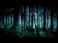 Sing with Karl and Gesche - In dem dunklen Wald von Paganowo [German Katjuscha Version][+ English]