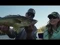 Catching Walleyes in Trees!!! (INSANE Underwater Footage)