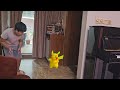 what the he'll pikachu is dancing