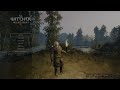 Killing drowners in The Witcher 3 on PS5