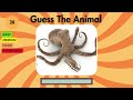 Guess the Animal Name | Quiz Game: Can You Name 40 Animals in 5 Seconds? 👌🙌🦊🐰