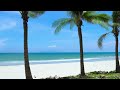 Ocean Wave Sounds on Tropical Beach 😴 Relaxing White Noise For Sleeping And Stress Relief