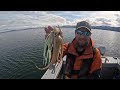 1st Halibut of 2024! Alaskan Halibut Fishing - Juneau, Alaska! April 2024 #alaska #halibut #bigfish