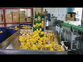 This is the Korean tape production process. (with subtitles)/Korean production process