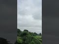 River view over bridge weather, raw footage #river #shortvideo #rainy #rainyseason #viral #trending