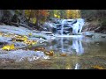 Beautiful Relaxing Piano - Soothing Music, Meditation Music, Relaxing Sleep Music, Stress Relief #4