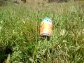 Shooting a can with a bb gun