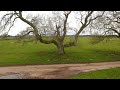 Long Meg and her Daughters stone circle