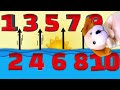 Skipped NUMBERS! New Counting Game (with Excite Dog!)